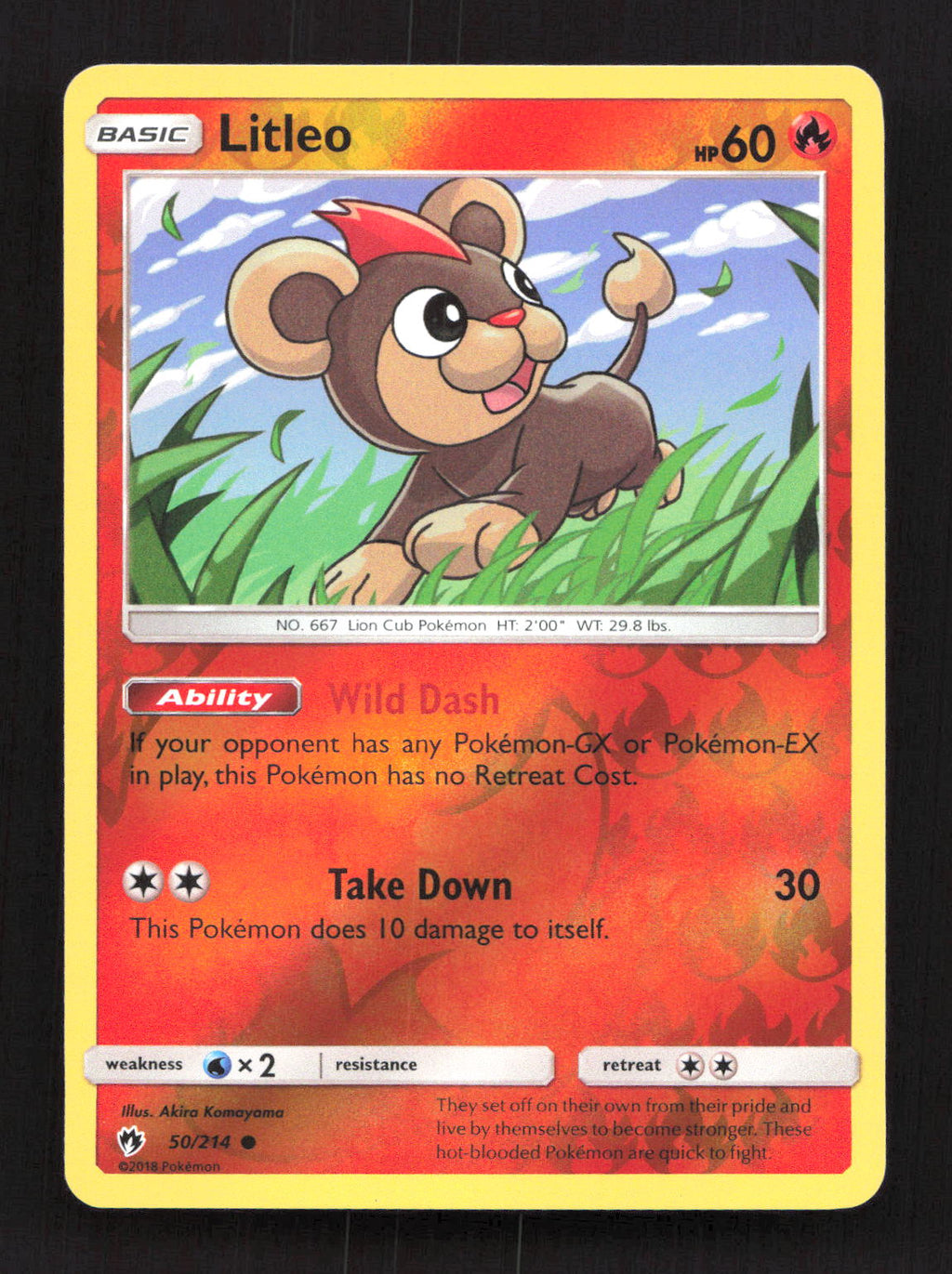 Litleo 50/214 Common Lost Thunder Pokemon Reverse Holo Lightly Played