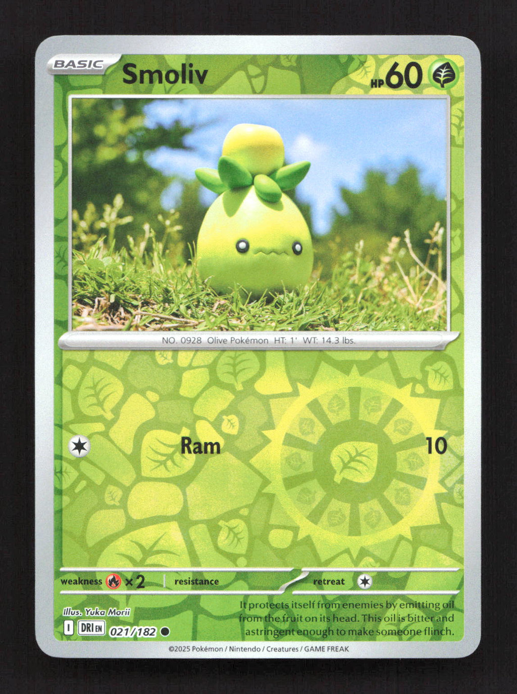 Smoliv 021/182 Common Destined Rivals Pokemon Reverse Holo Near Mint