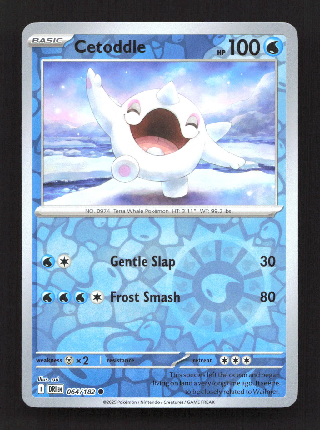 Cetoddle 064/182 Common Destined Rivals Pokemon Reverse Holo Near Mint