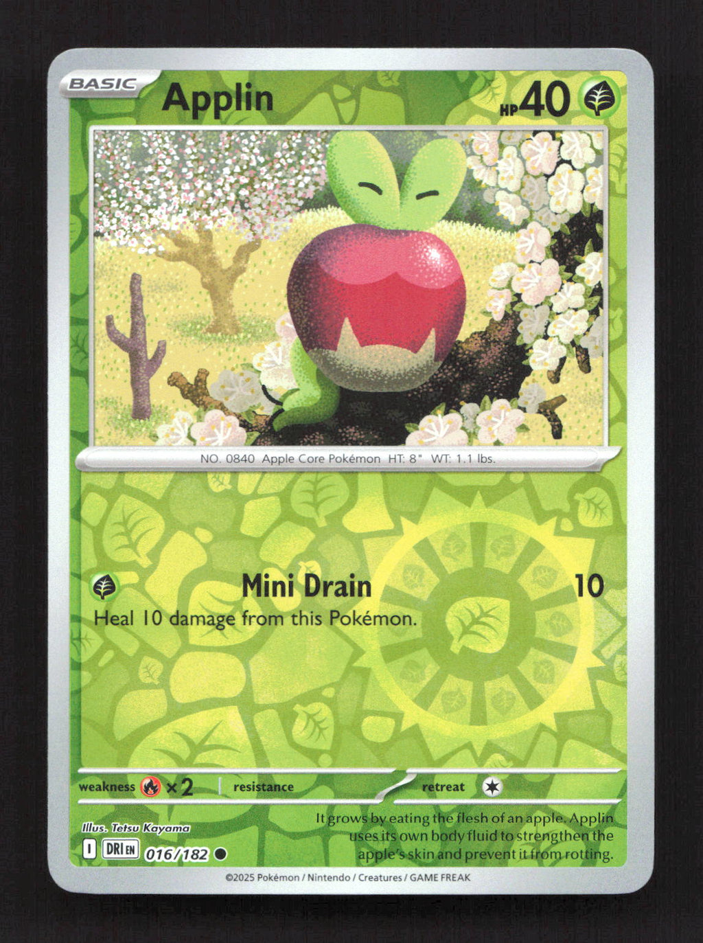 Applin 016/182 Common Destined Rivals Pokemon Reverse Holo Near Mint
