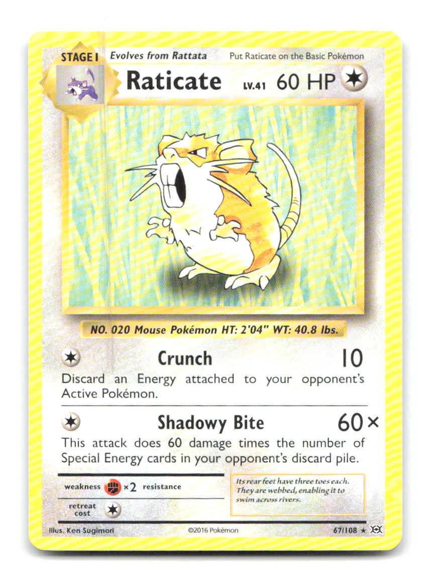 Raticate 67/108 EVO Pokemon MP