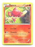 Pansear 22/146 XY Pokemon MP