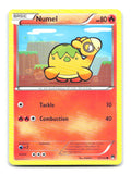 Numel 12/122 BKP Pokemon LP