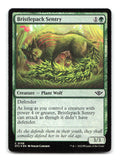 Bristlepack Sentry 156 OTJ Magic: The Gathering Foil NM