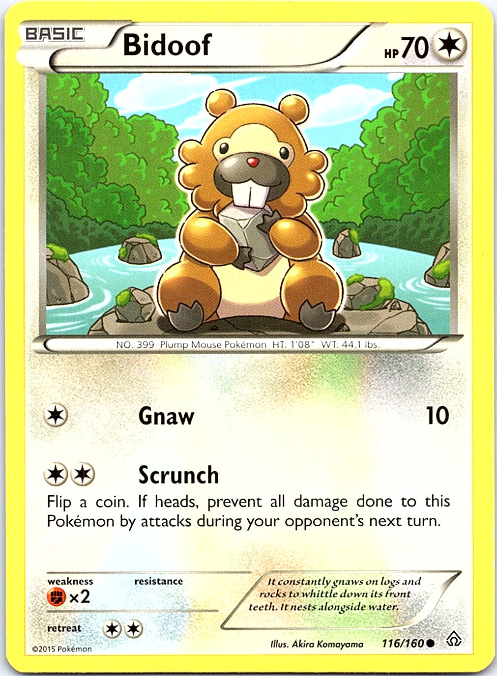 Bidoof 116/160 Common Primal Clash Pokemon Lightly Played