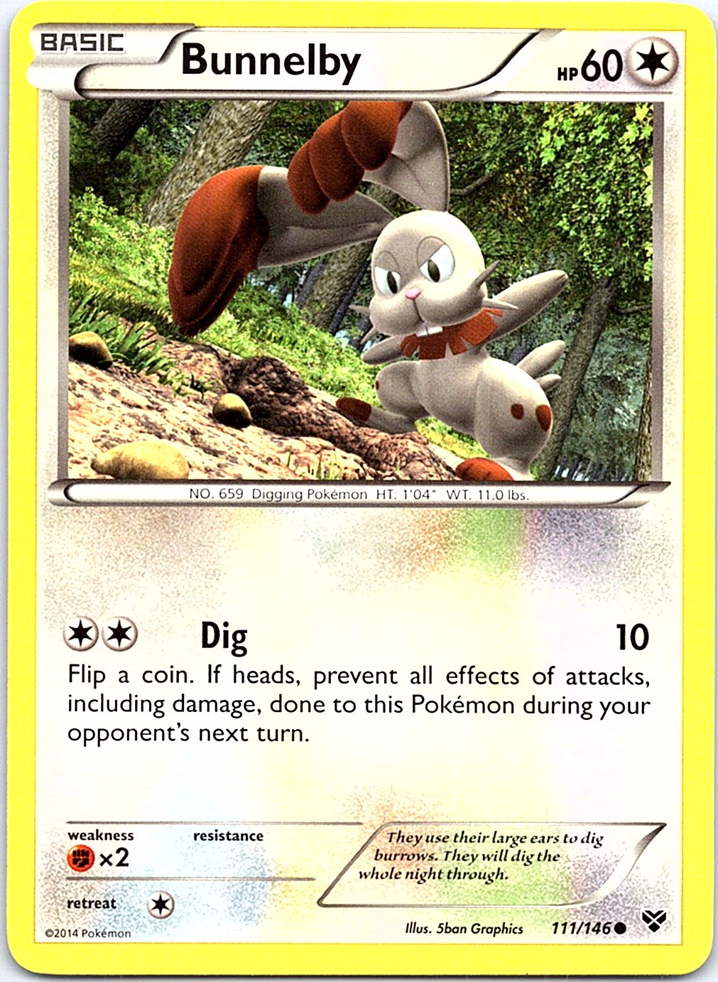 Bunnelby 111/146 Common XY Pokemon Lightly Played