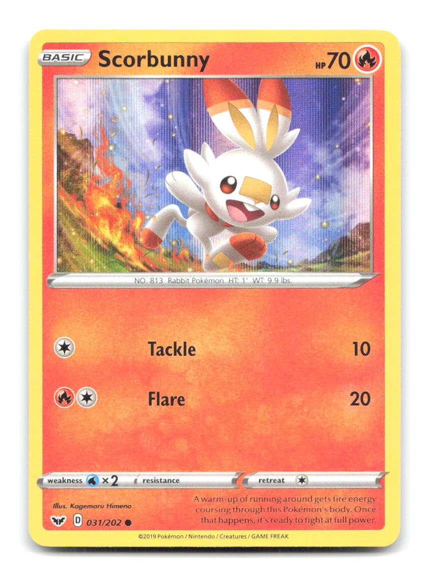 Scorbunny (Premium Collection) 031/202 Holo Pokemon LP