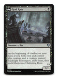 Graf Rats 113 INR Magic: The Gathering Foil NM