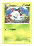 Larvesta 14/114 STS Pokemon LP
