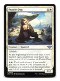 Prairie Dog 24 OTJ Magic: The Gathering Foil NM