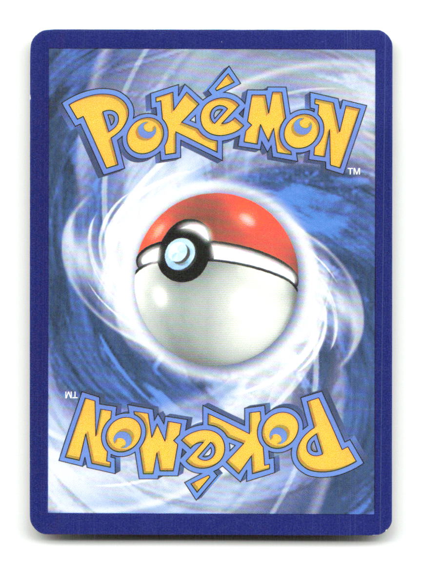 Scorbunny (Premium Collection) 031/202 Holo Pokemon LP