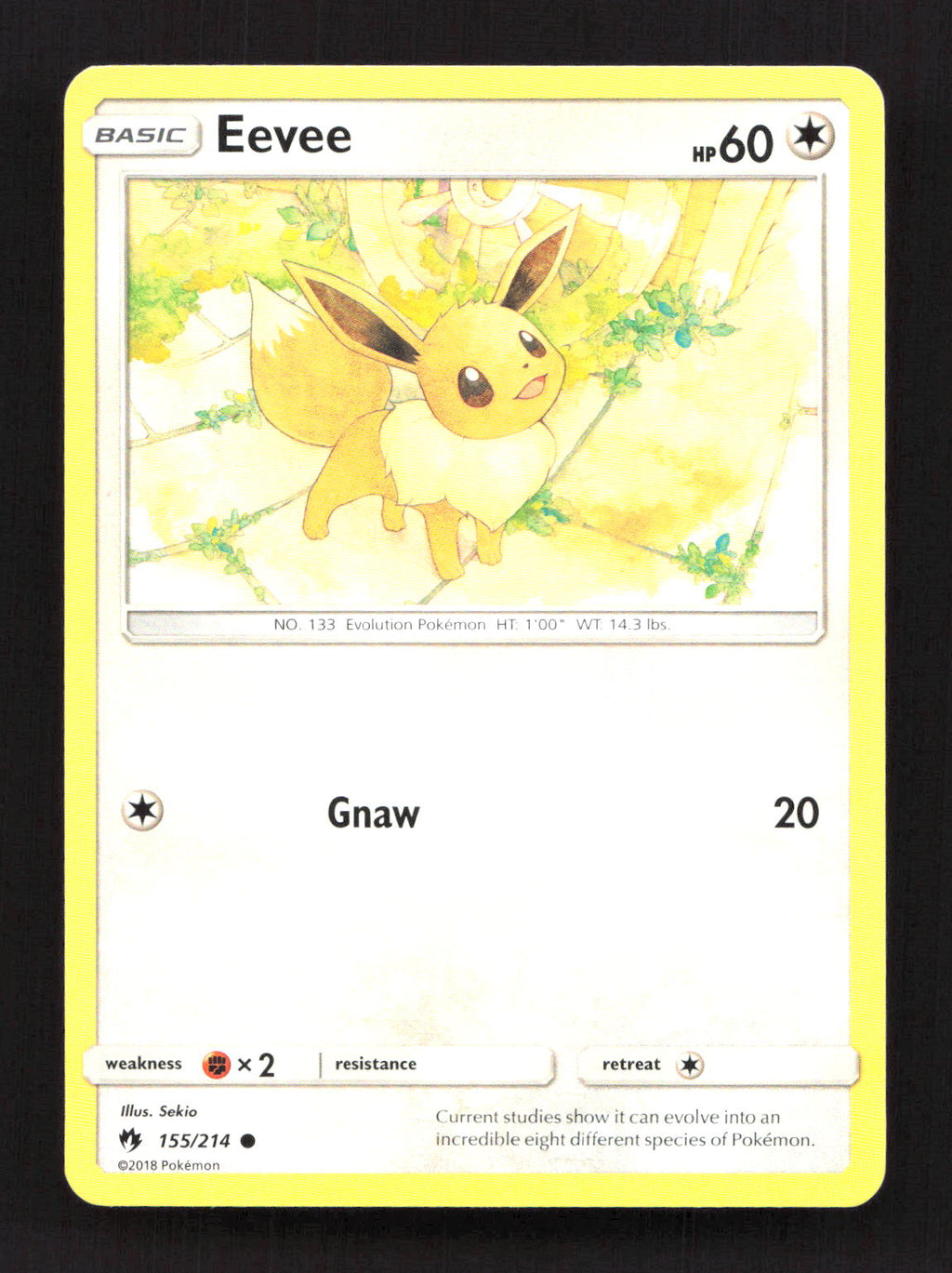 Eevee 155/214 Common Lost Thunder Pokemon Moderately Played