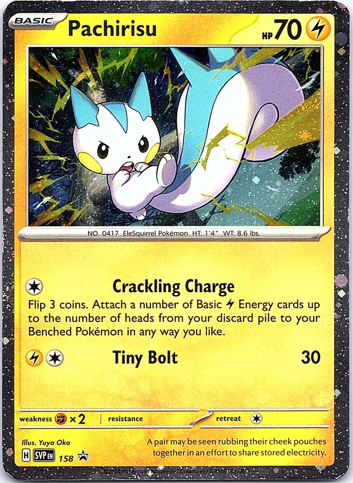 Pachirisu 158 Holo Promo Scarlet & Violet Promo Pokemon Lightly Played